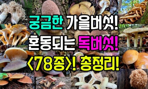 婴儿蛙腹什么时候消失-小孩蛙状腹持续多久专区_孩子蛙腹状肚子的图片专区_宝宝蛙腹肚图片网