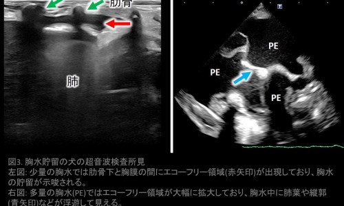 孩子蛙腹状肚子的图片-小孩蛙状腹持续多久专区_孩子蛙腹状肚子的图片专区_宝宝蛙腹肚图片网