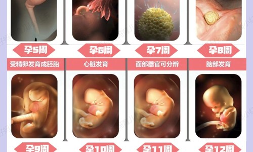 小孩蛙状腹持续多久专区_孩子蛙腹状肚子的图片专区_宝宝蛙腹肚图片网